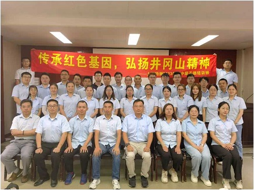 图片7